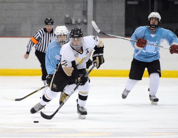 SUNY Broome Selected To Host  The NJCAA Ice Hockey Championships