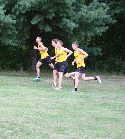 Four Broome runners running along tree line