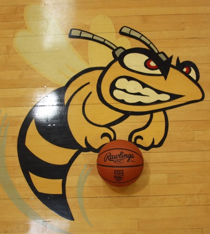 Picture of Hornet with basketball