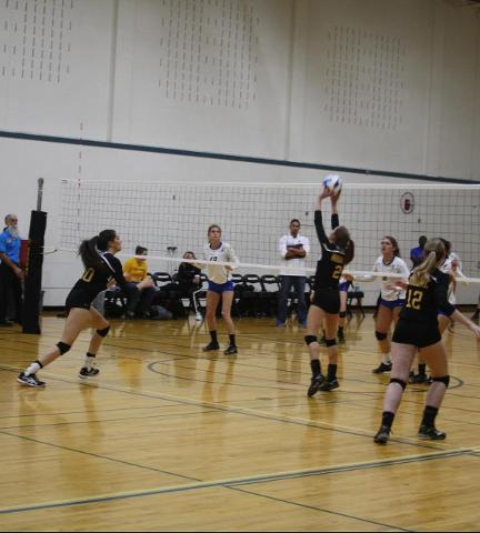 Volleyball Makes It A Clean Sweep In Home POD