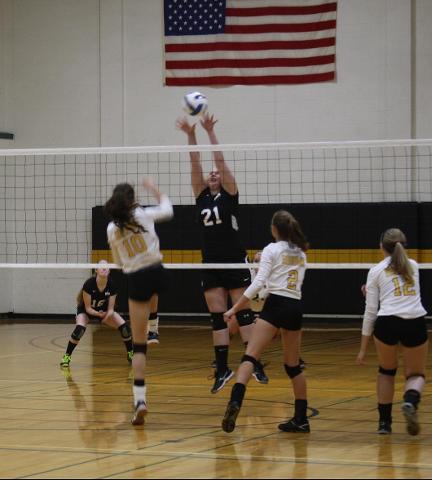 Volleyball Takes All Three Sets At Home