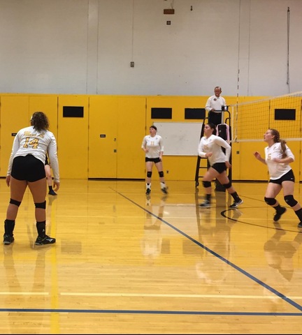 Volleyball team setting up for a return