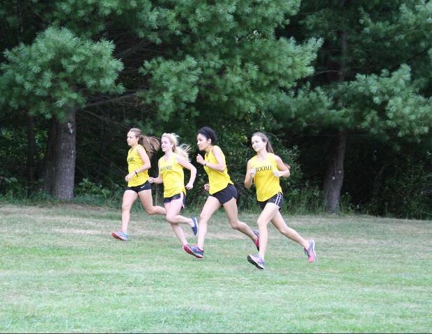 Women's Cross Country Team Finishes Fifth In SUNY IT Long Course