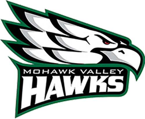 Link to the Mohawk Valley Community College Region III Webpage